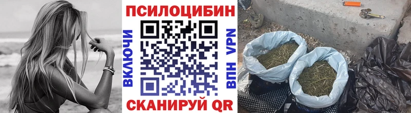 Псилоцибиновые грибы Psilocybine cubensis дарнет шоп Порхов